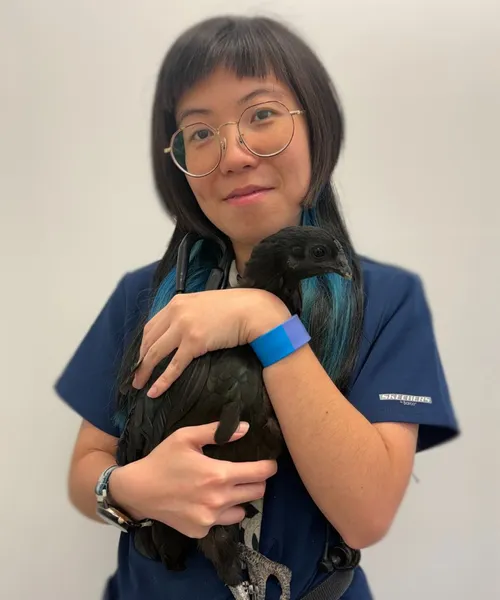 Chilita Yan Yin Lau - Vet