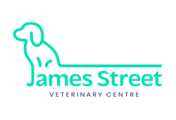 James Street Vets - Dog Logo