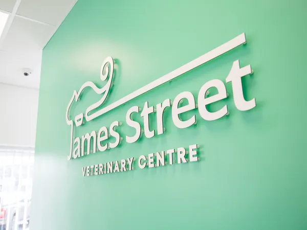 James Street Vets practice photo 1