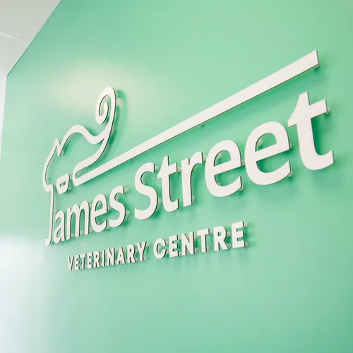 Louth Vets practice photo 1