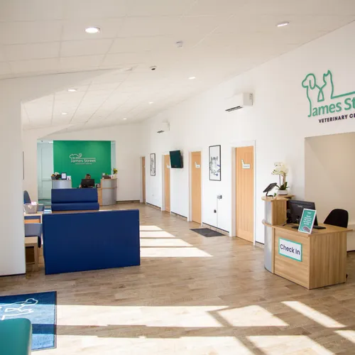 Louth Vets practice photo 3