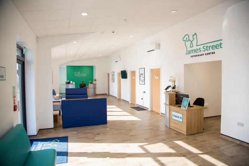 James Street Vets reception area