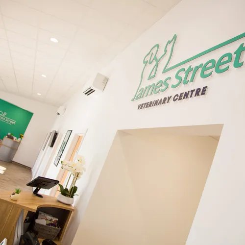 Louth Vets practice photo 4