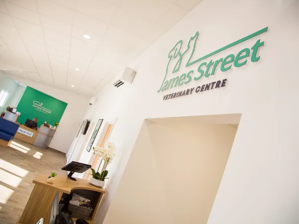 James Street Vets practice photo 4