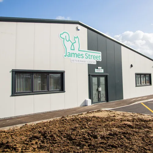 Louth Vets practice photo 5