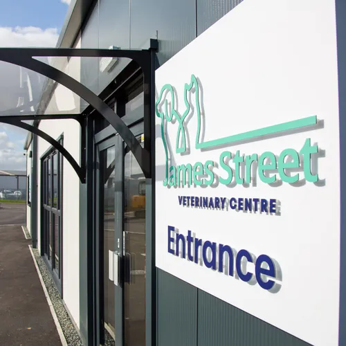 Louth Vets practice photo 6