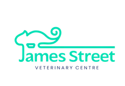 James Street Vets - Iguana Logo