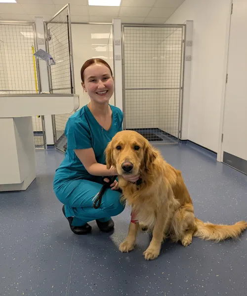 Lillie - Student Vet Nurse