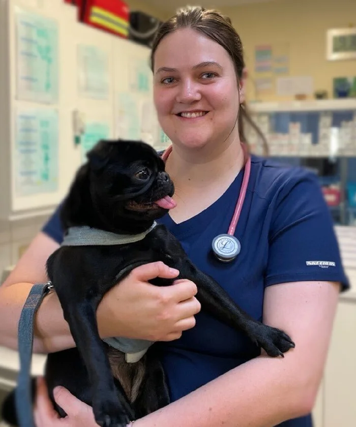 Molly - Vet