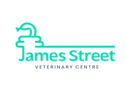 James Street Vets - Snake Logo