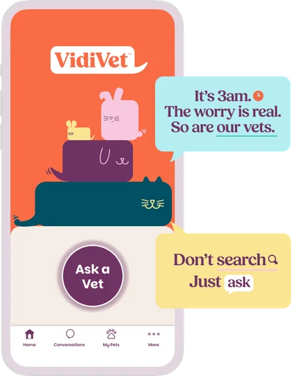 The VidiVet app — it's 3am, the worry is real, so are our vets