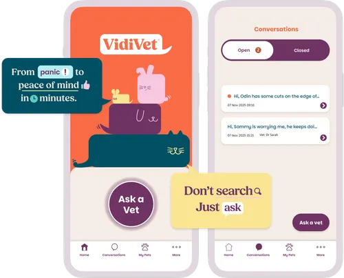 The VidiVet app — ask a vet and view your conversations