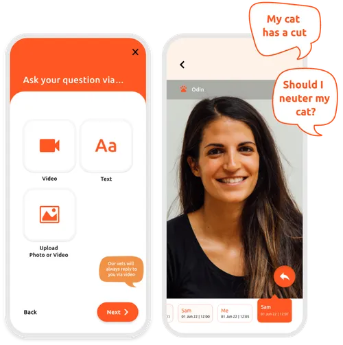 VidiVet app - 24/7 digital vet support