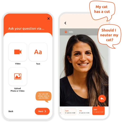 VidiVet app — 24/7 digital vet advice